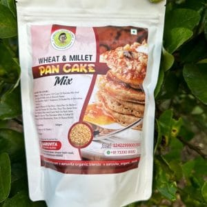 Pan Cake Mix Homemade